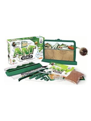 Ant World Discovery