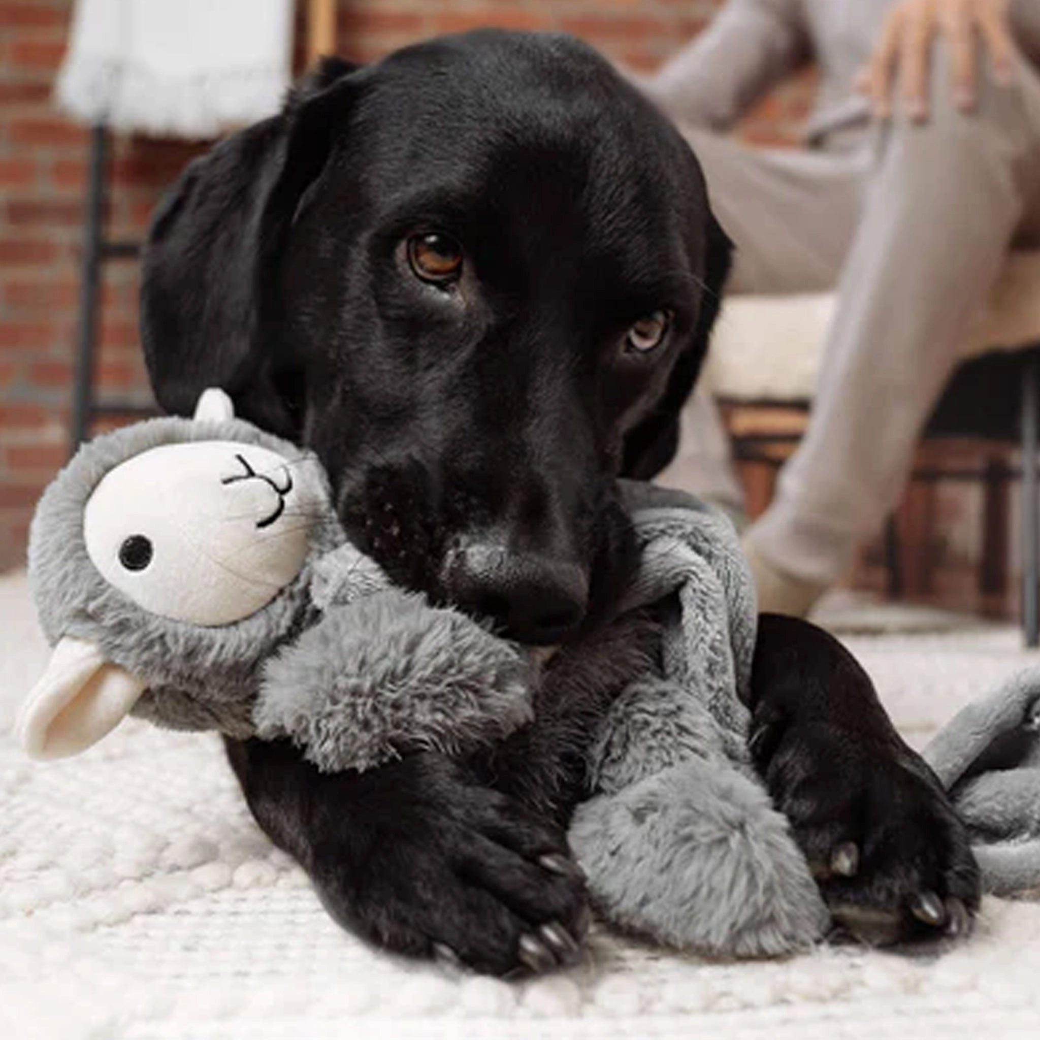 Canada Pooch Weighted Toy Grey Dog Remedies