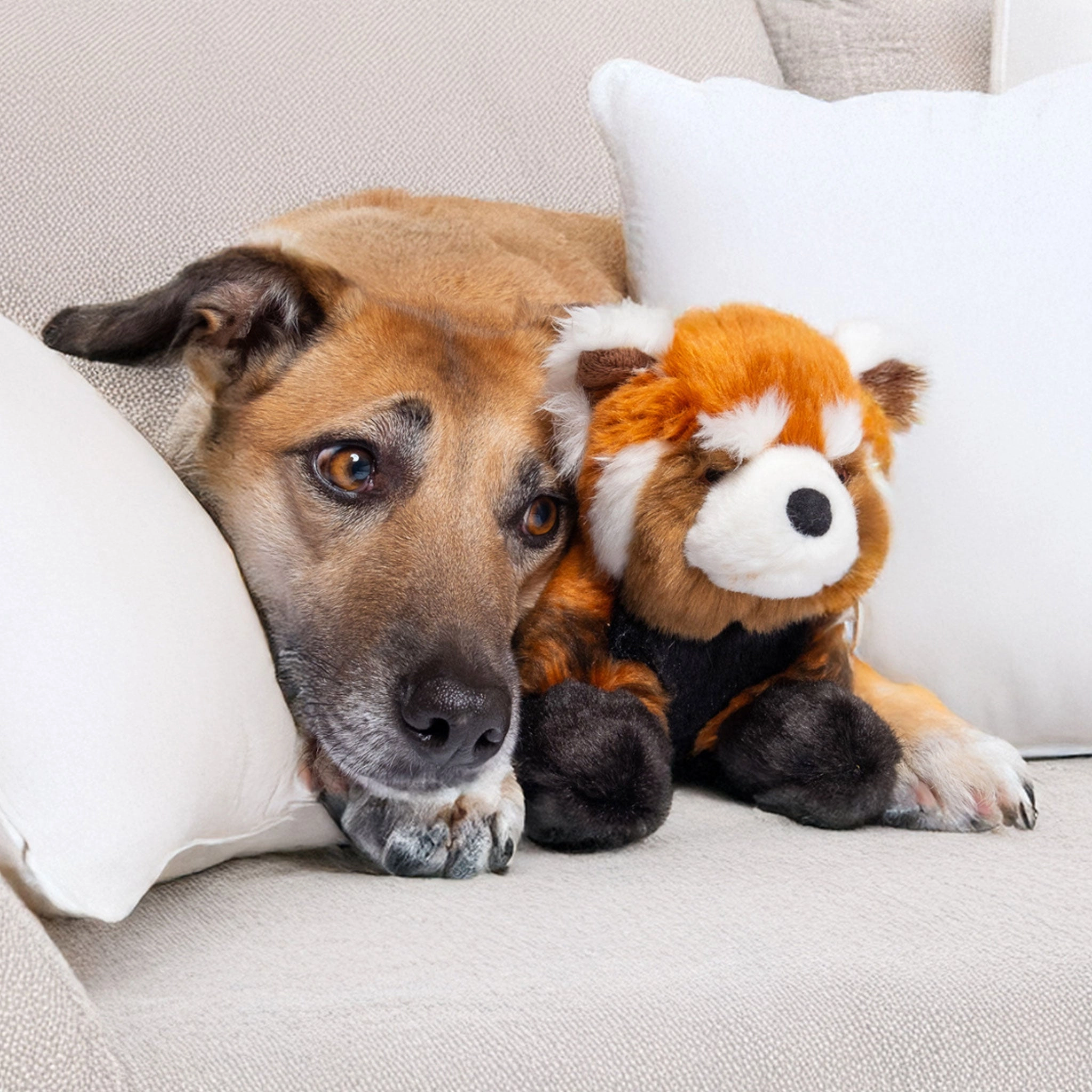 Fluff & Tuff Archie Panda Dog Toy