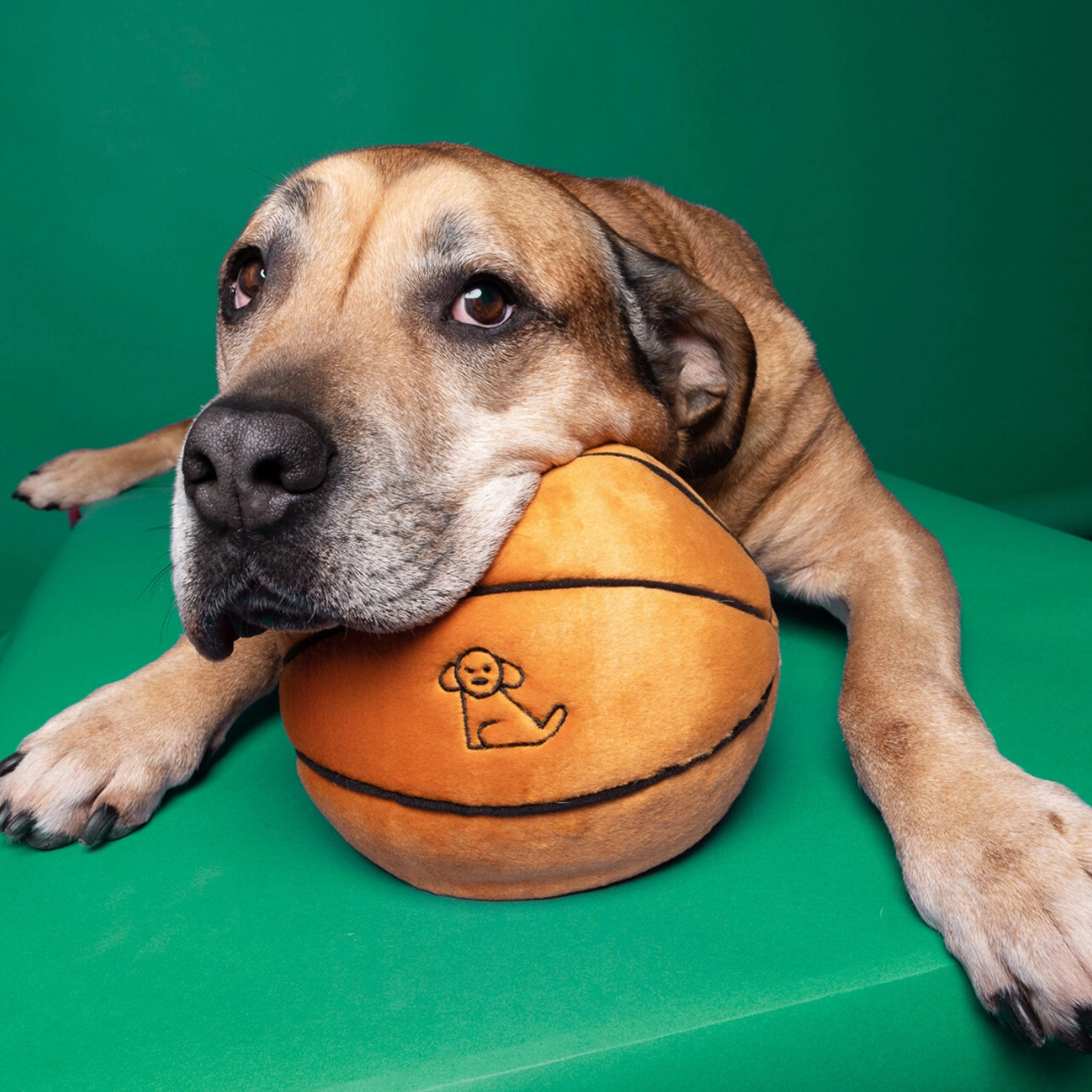 Fluff & Tuff Basketball Dog Toy