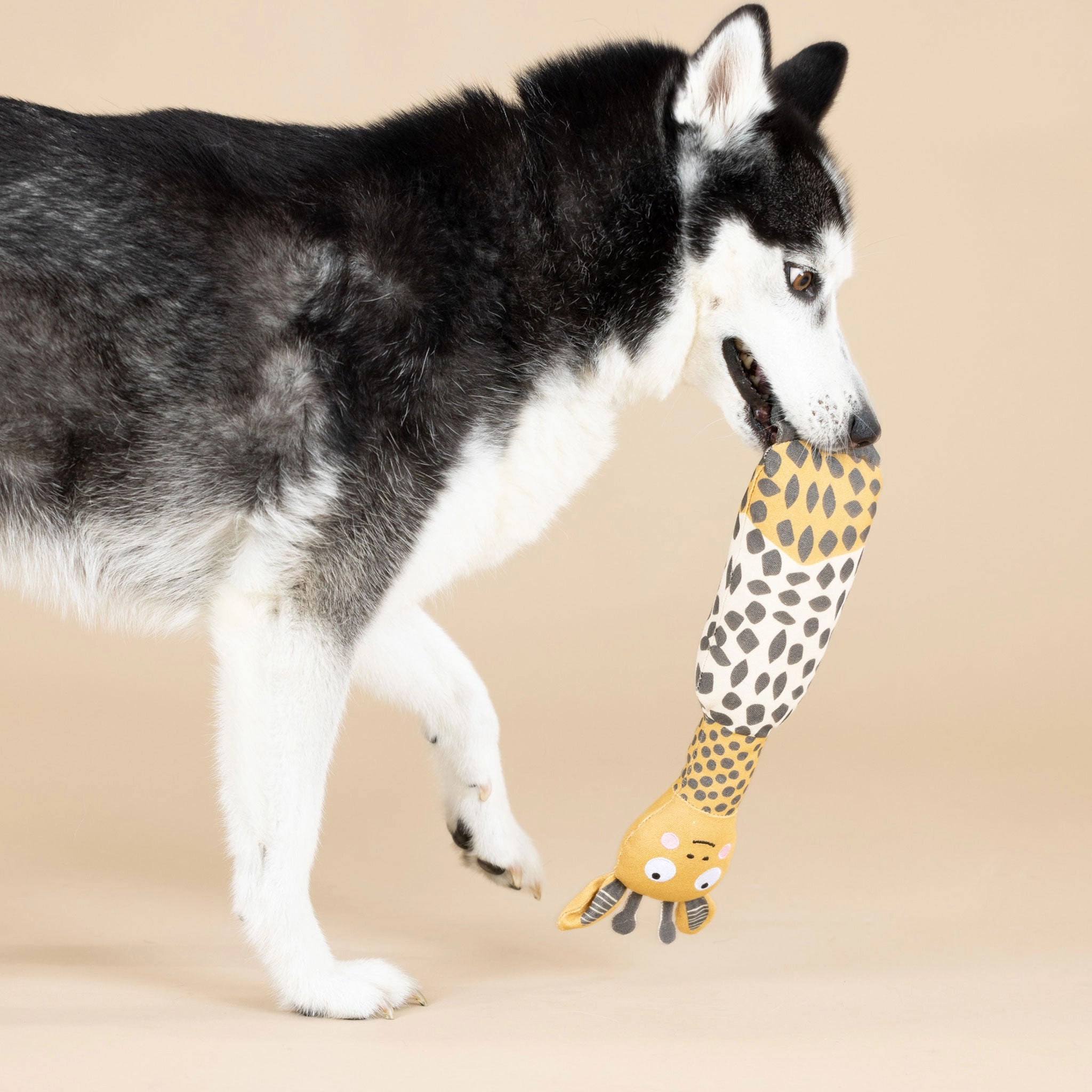 Fringe Canvas Squeaker Dog Toy - Giraffe
