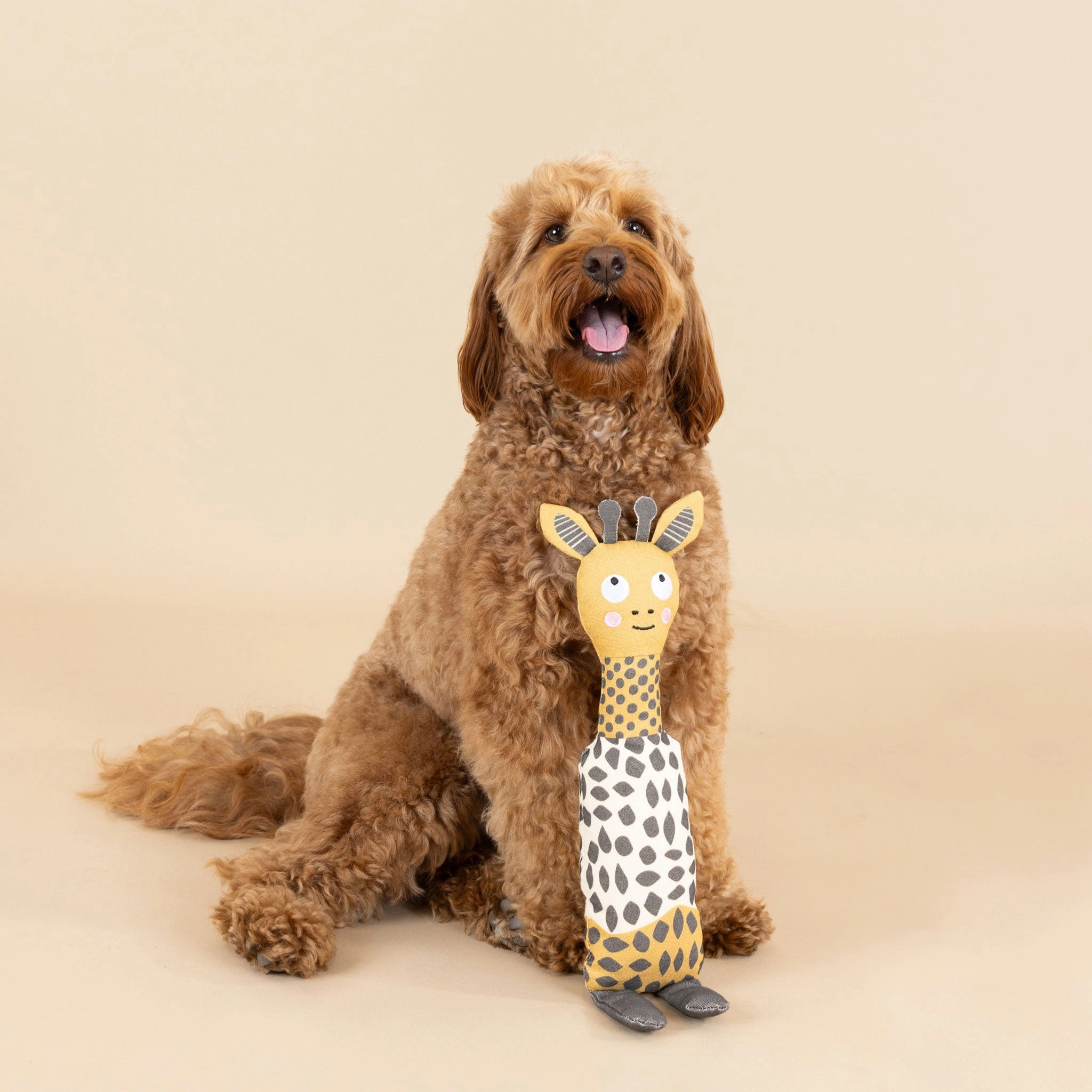 Fringe Canvas Squeaker Dog Toy - Giraffe