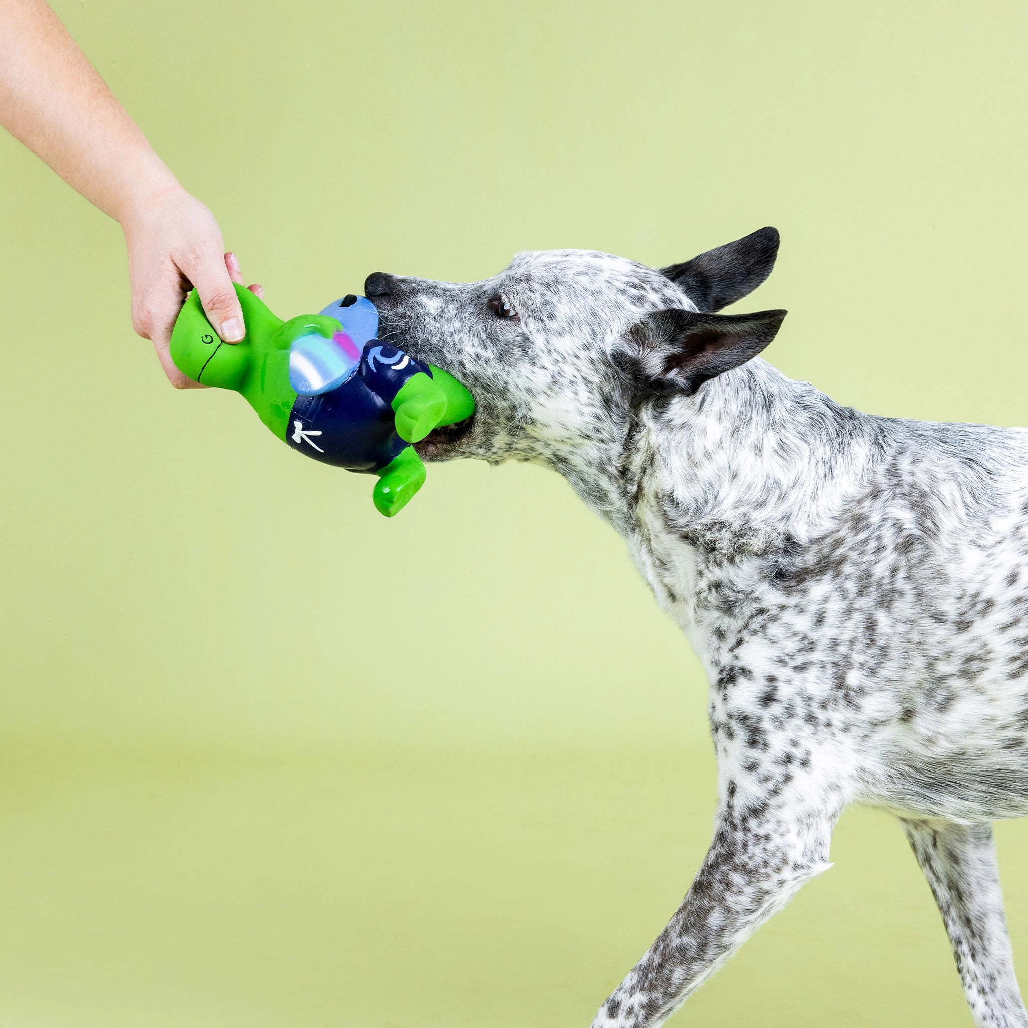 Fringe Good Vibes High Tides Rex Dog Toy