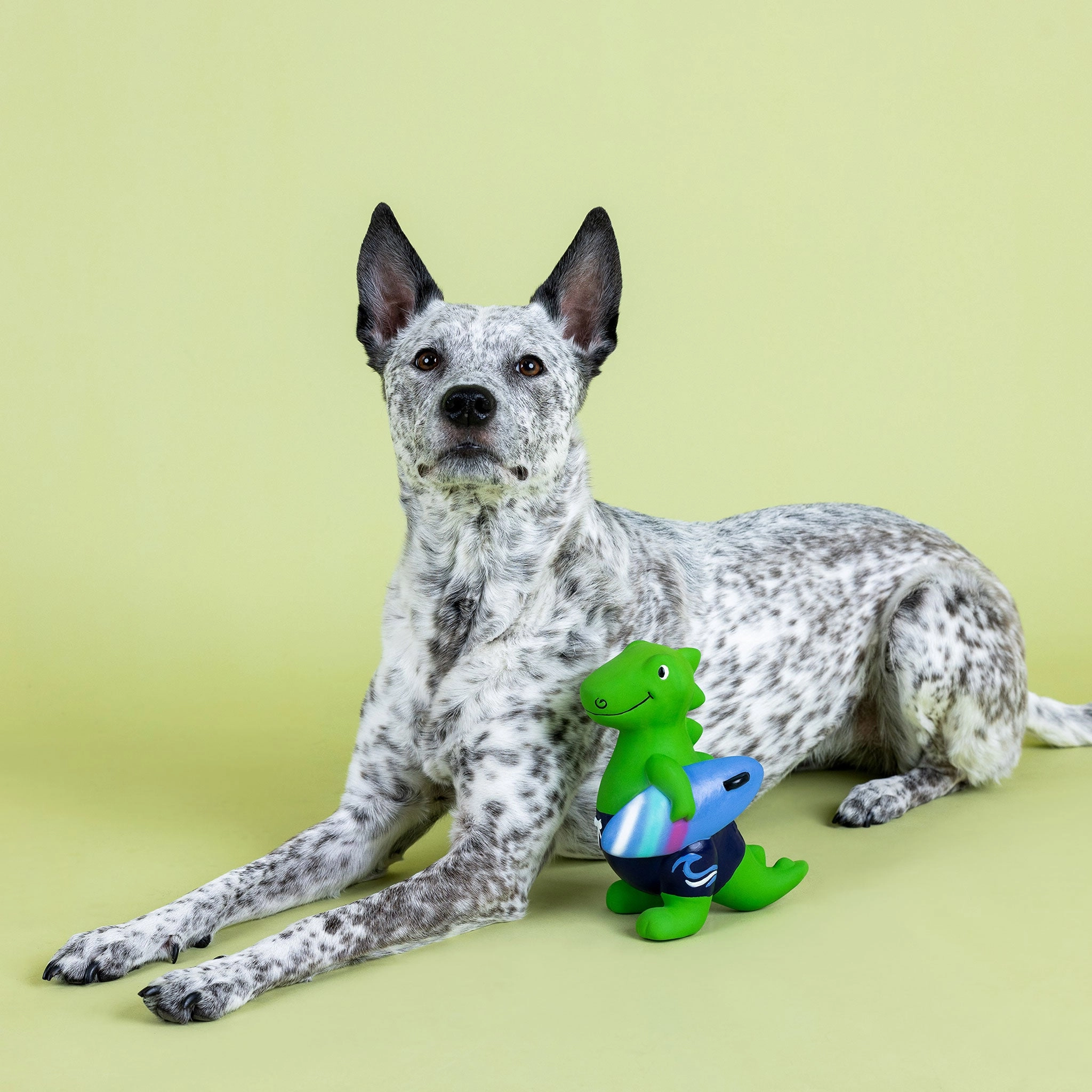 Fringe Good Vibes High Tides Rex Dog Toy