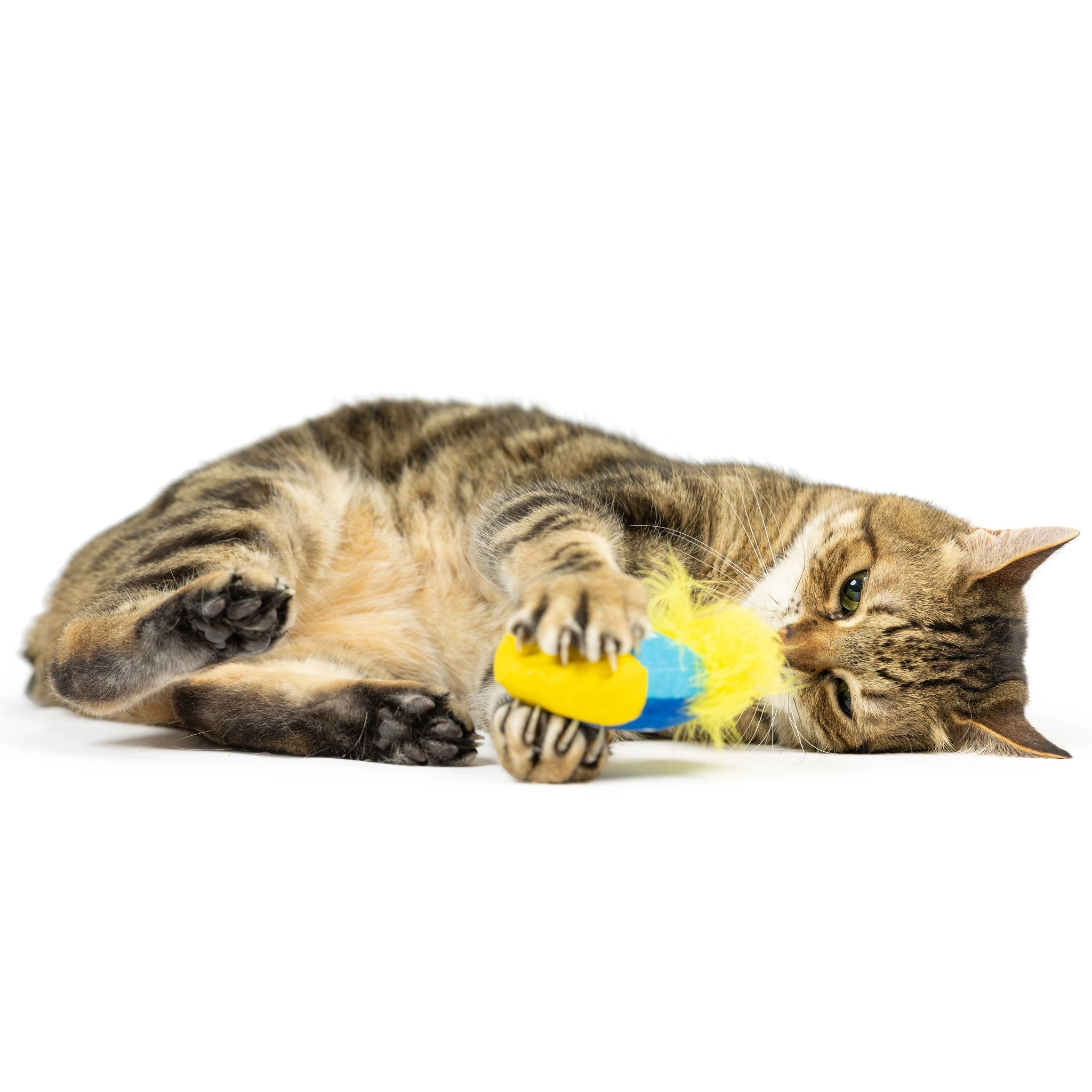 Huxley & Kent Meow-zel Tov Dreidel Blue Cat Toys