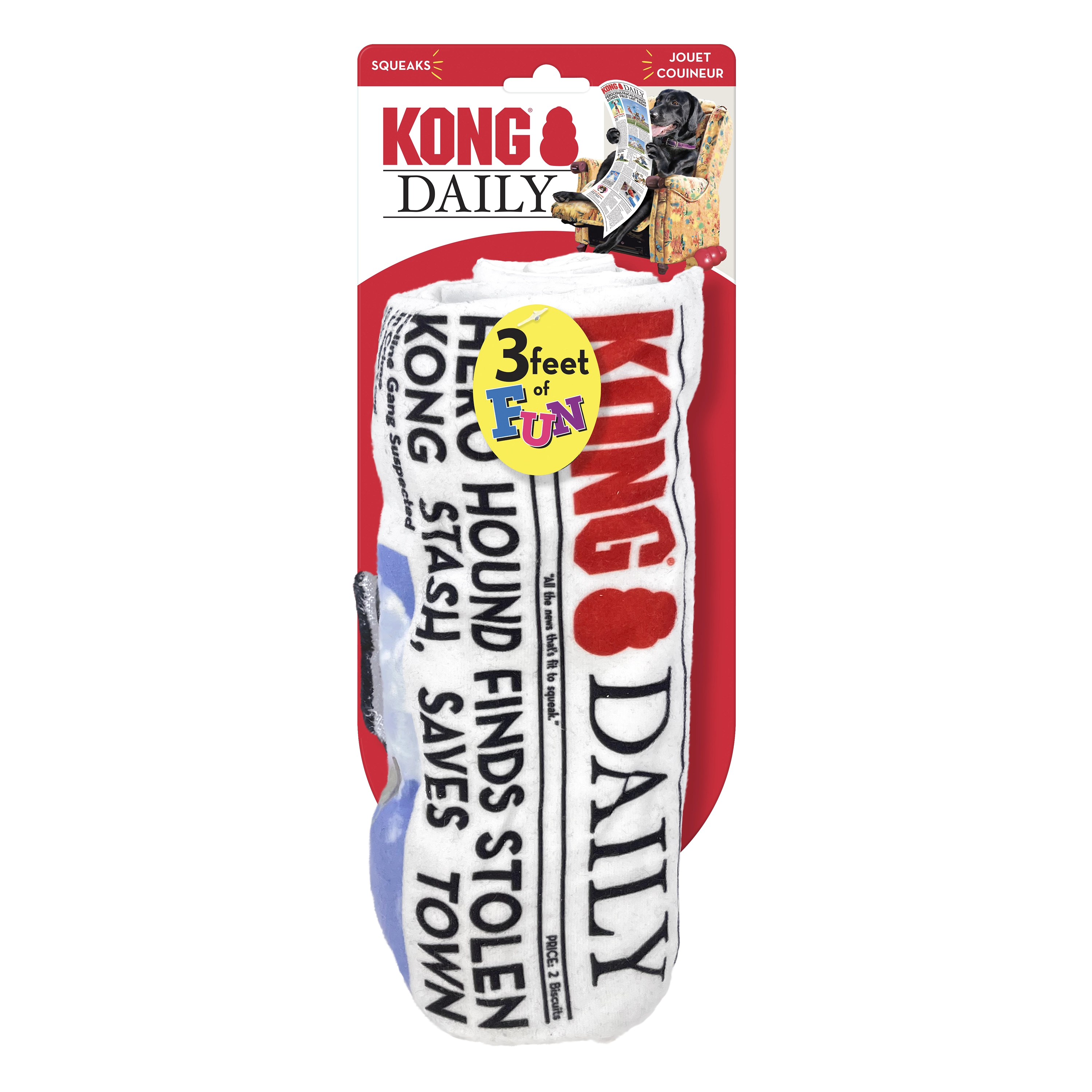 Kong Daily Dog Toy