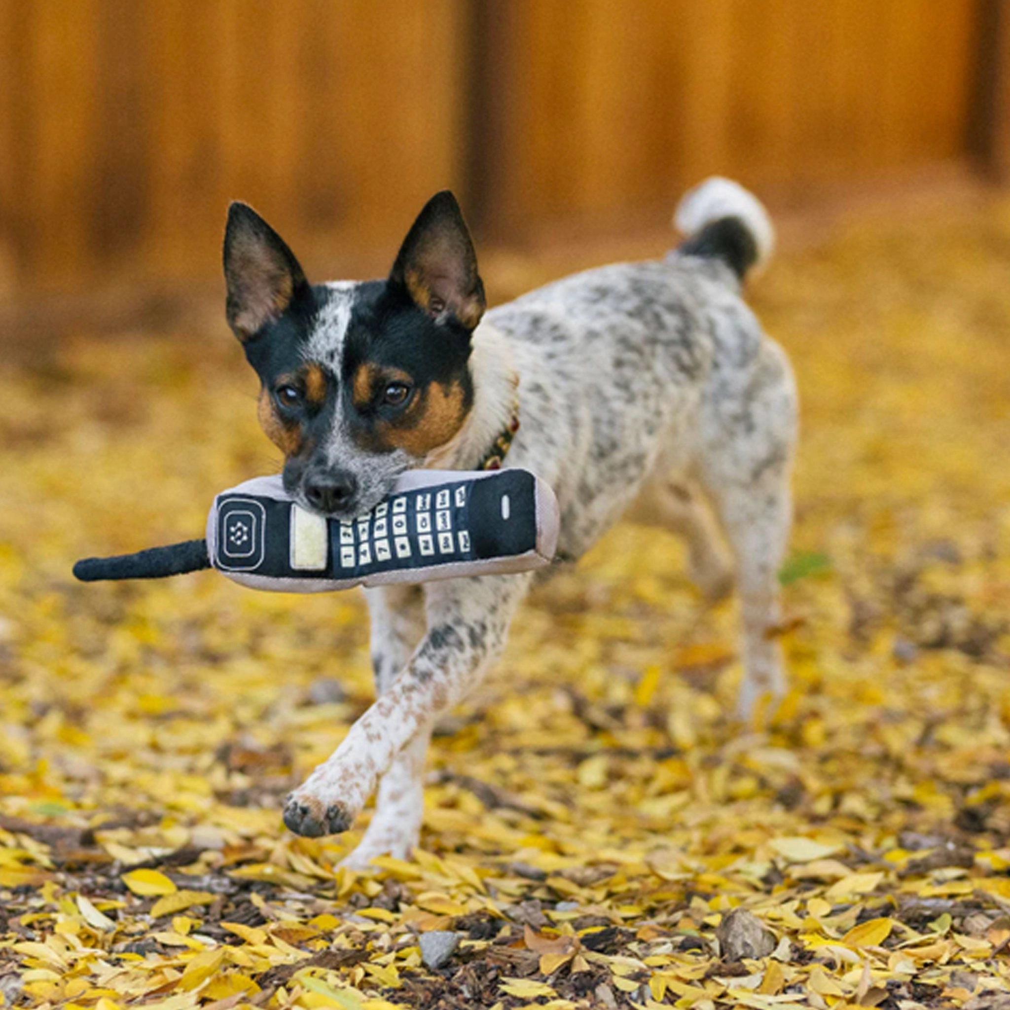 P.L.A.Y. Brick Phone Grey Dog Toys