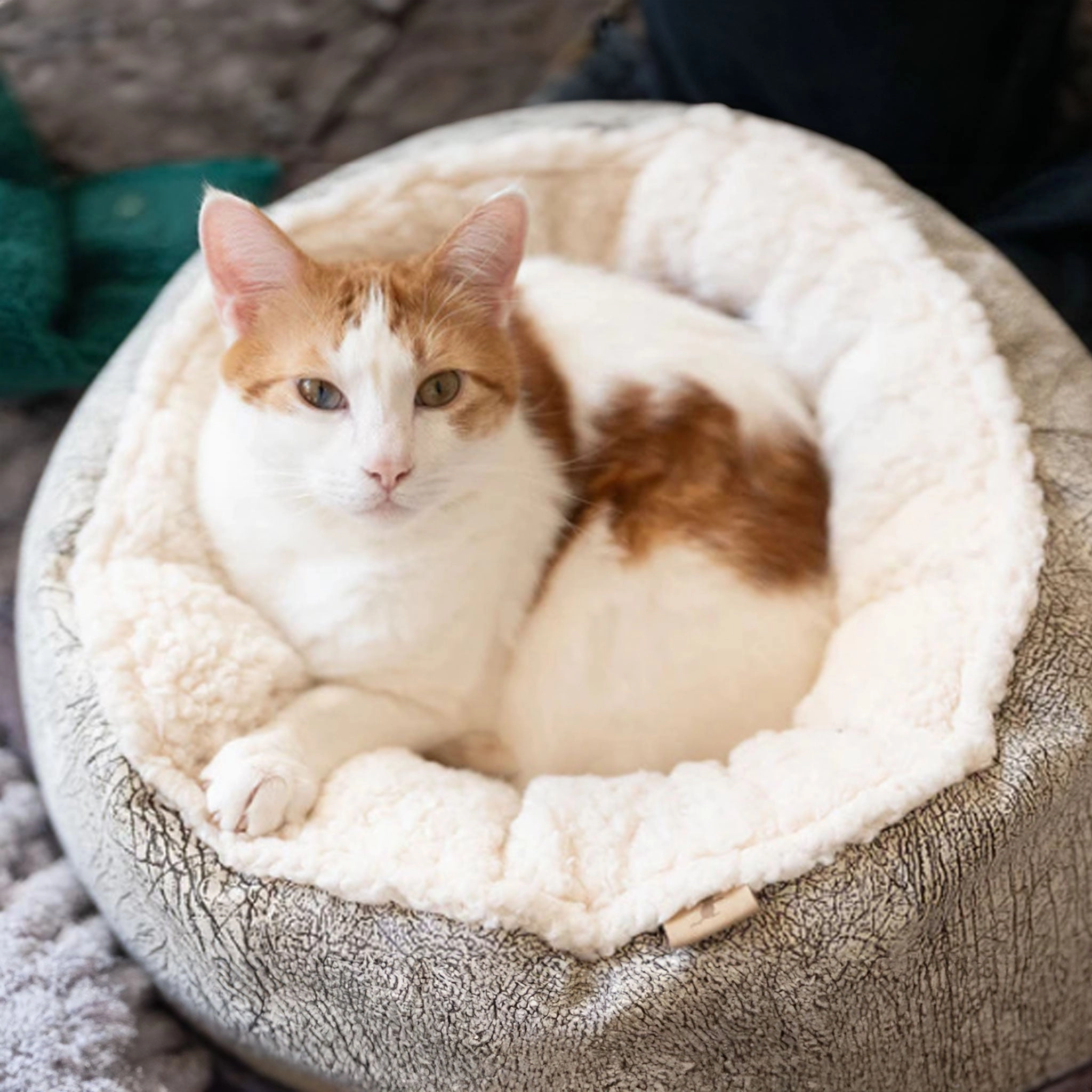 P.L.A.Y. Cat Cuddler Ash Gray Cat Beds
