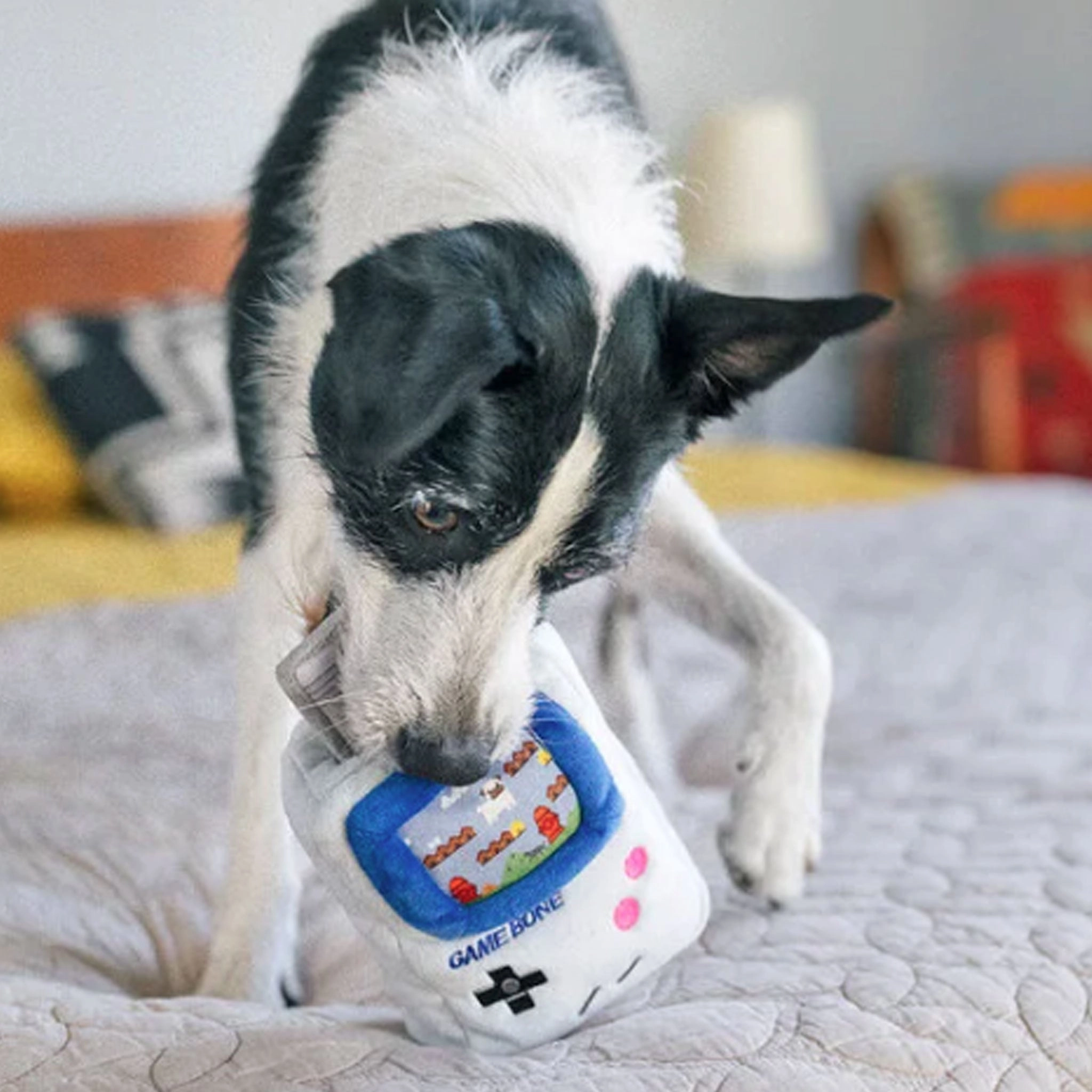 P.L.A.Y. Game Bone Grey Dog Toys