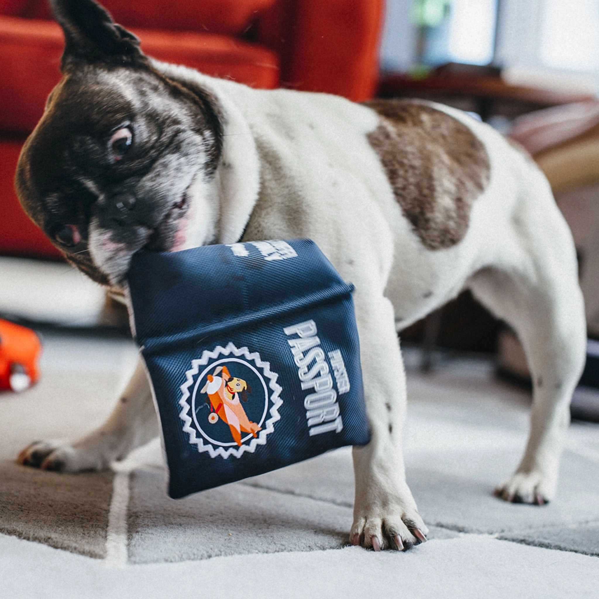 P.L.A.Y. Globetrotter Toy Passport Dog Toys