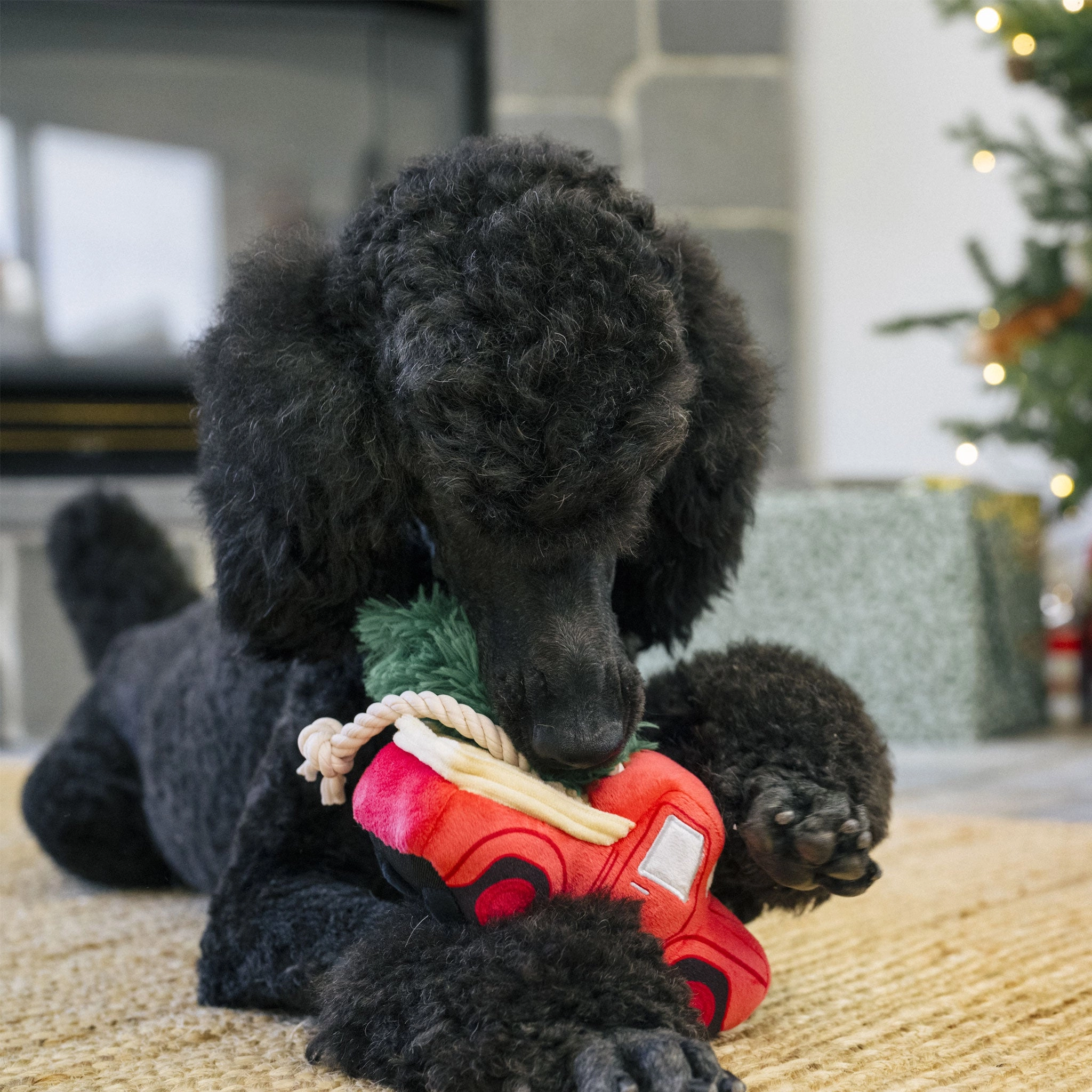 P.L.A.Y. Holiday Red Truck Red Dog Toys