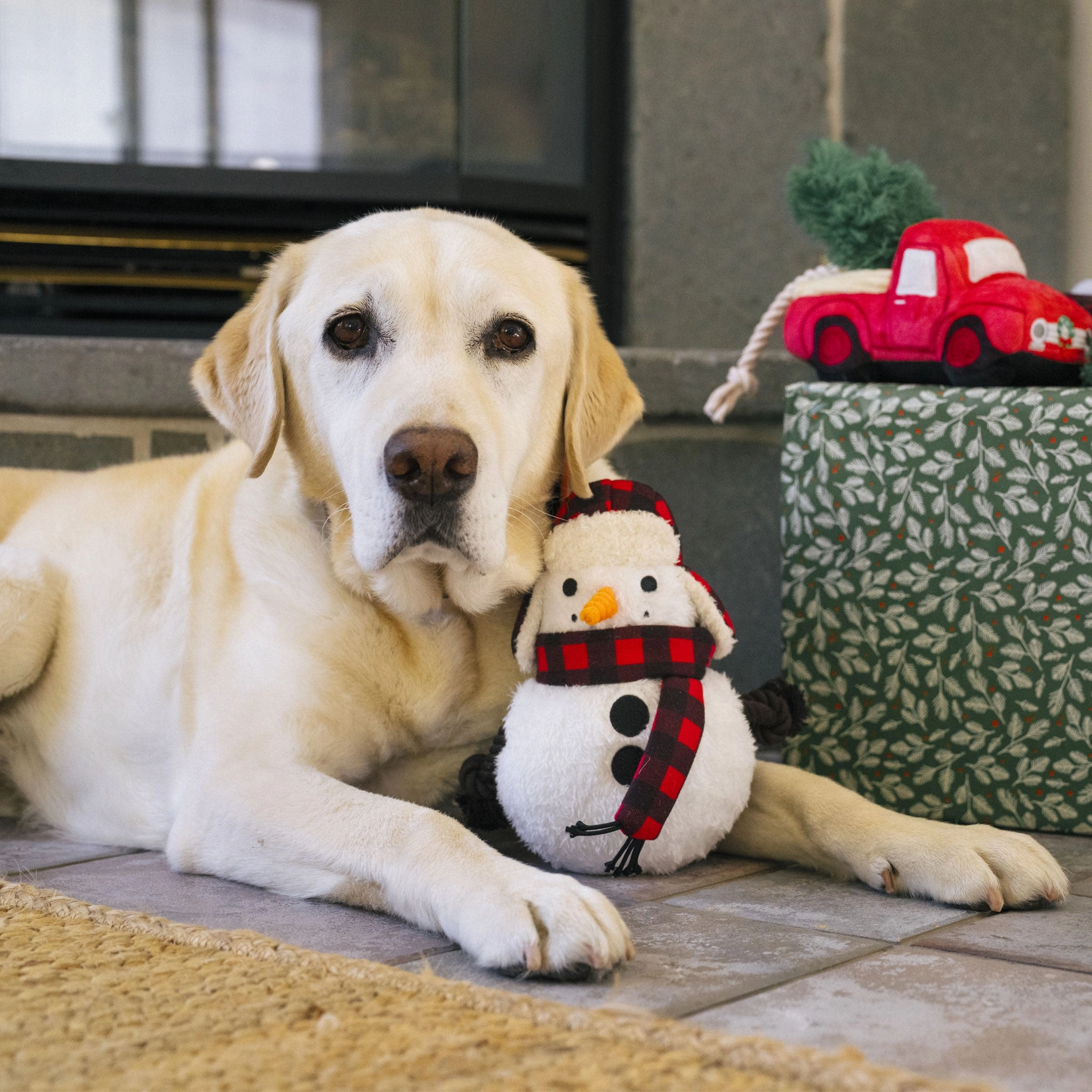 P.L.A.Y. Holiday Snowman White Dog Toys