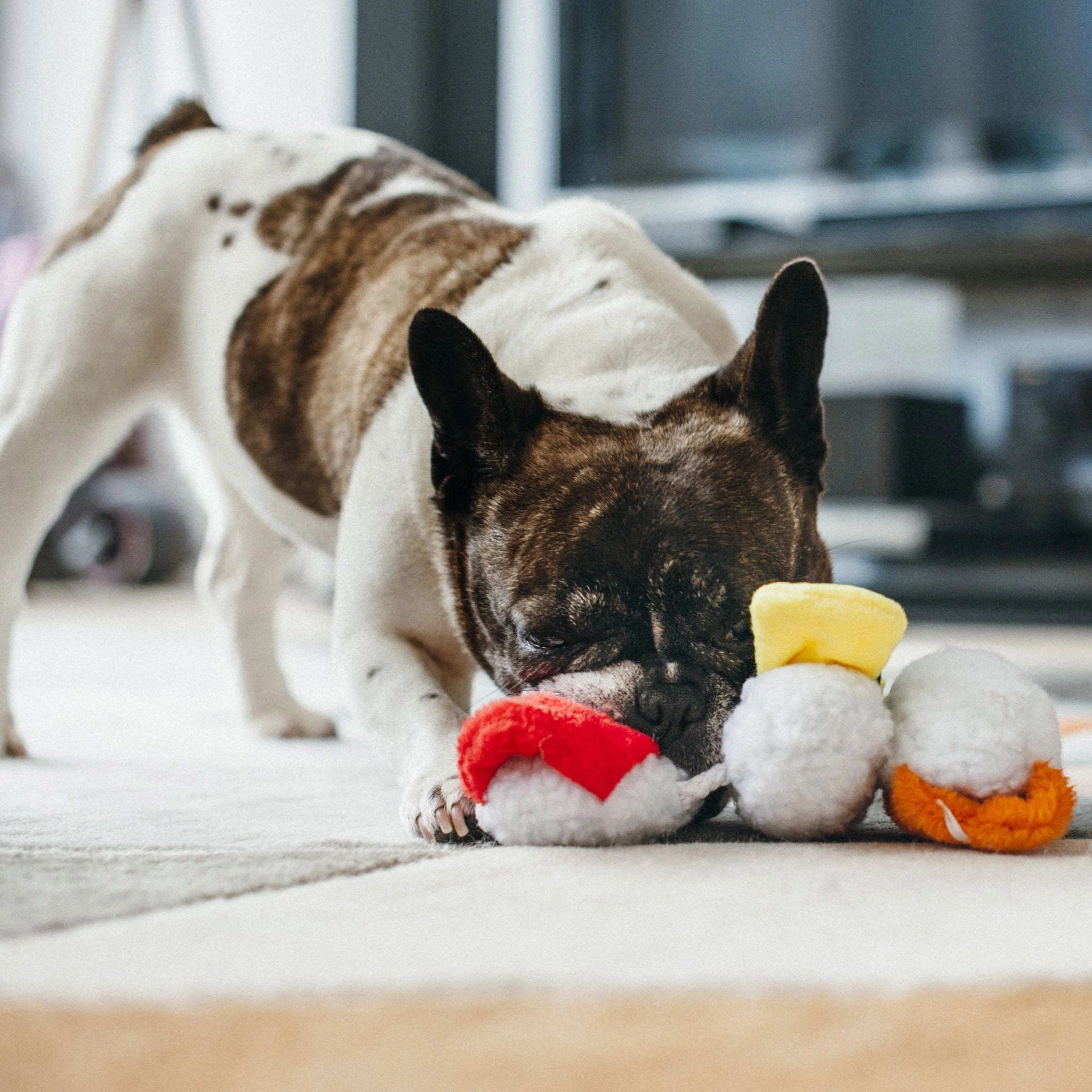 P.L.A.Y. International Classic Toy Sushi Dog Toys