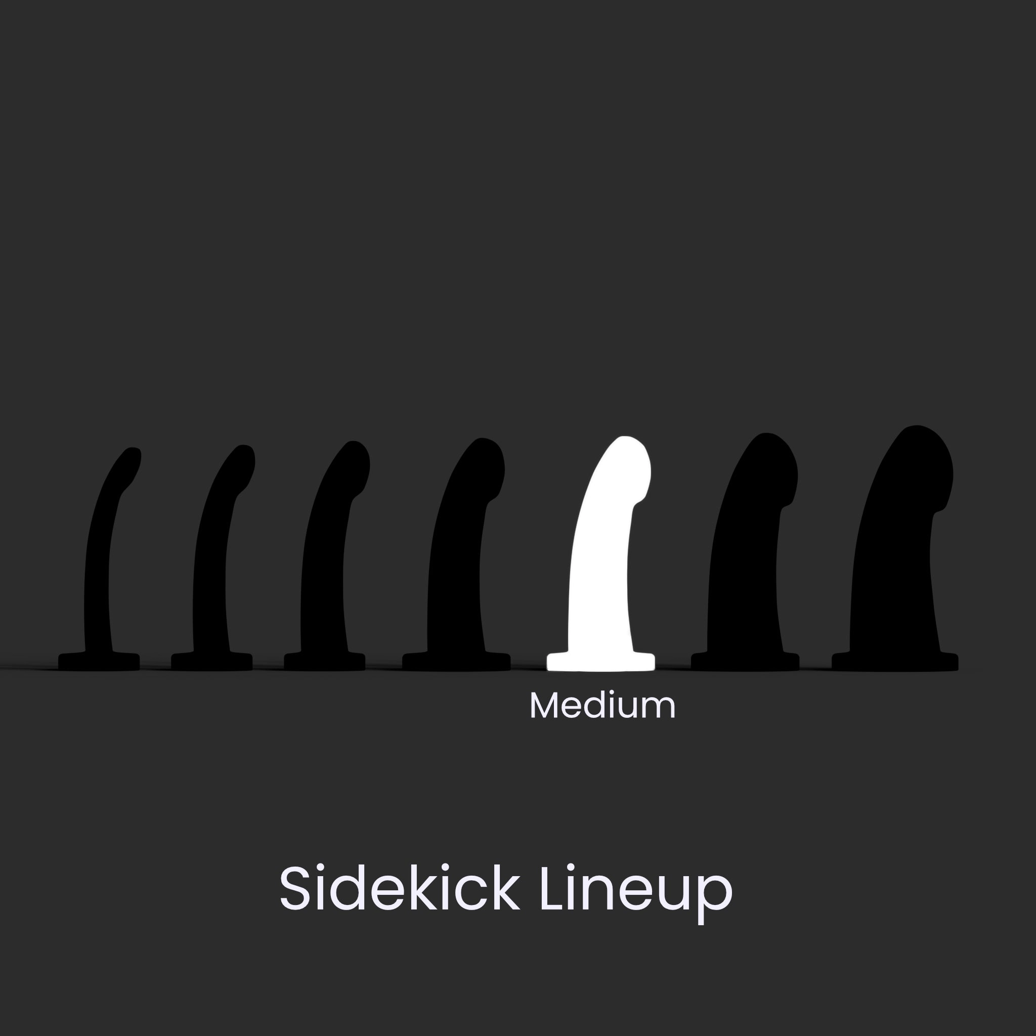 Sidekick Medium - Color Fade w Silver Skin - Soft - Ready to Ship