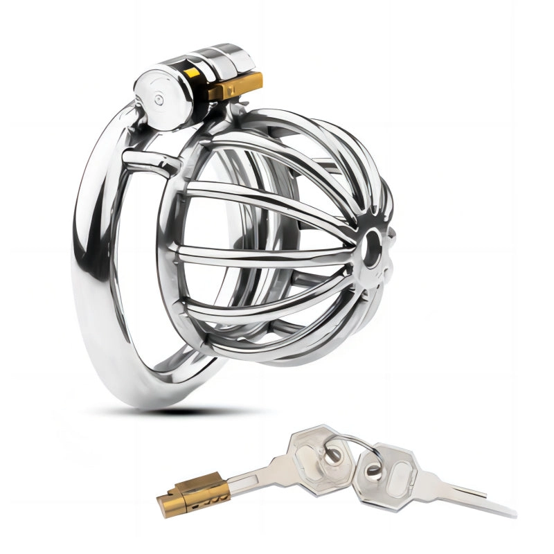Stainless Steel Chastity Cock Cage
