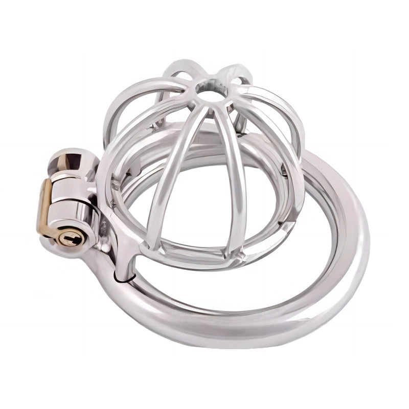 Stainless Steel Chastity Cock Cage