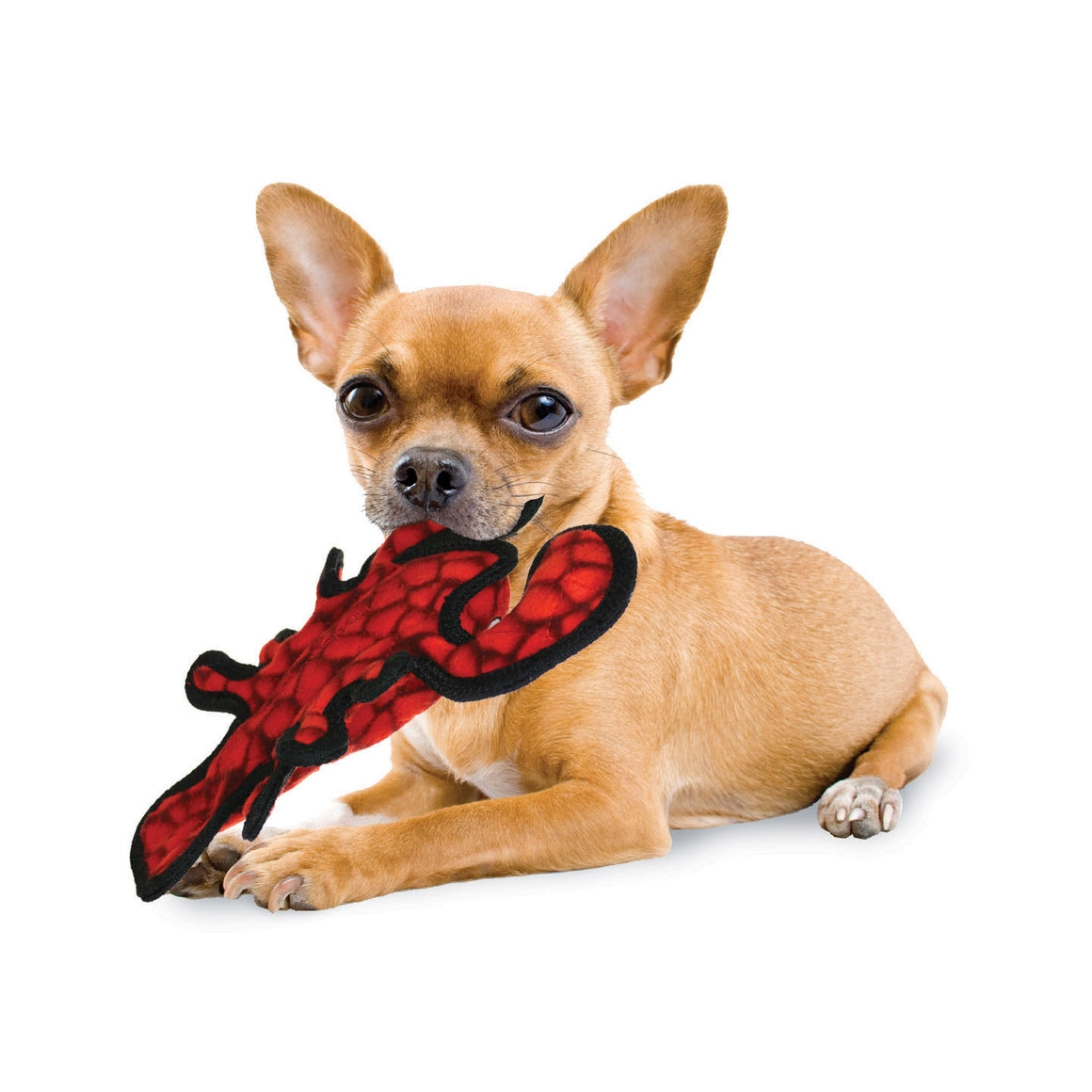 Tuffy Ocean Larry the Lobster Junior Dog Toy